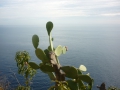 Cinque Terre 034.JPG