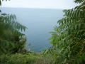 Cinque Terre 054.JPG