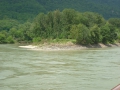 Donau 366.JPG