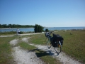 Gotland 350 km på cykel 057.JPG