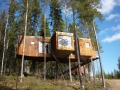 Tree hotel 010.JPG