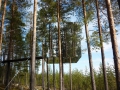 Tree hotel 026.JPG